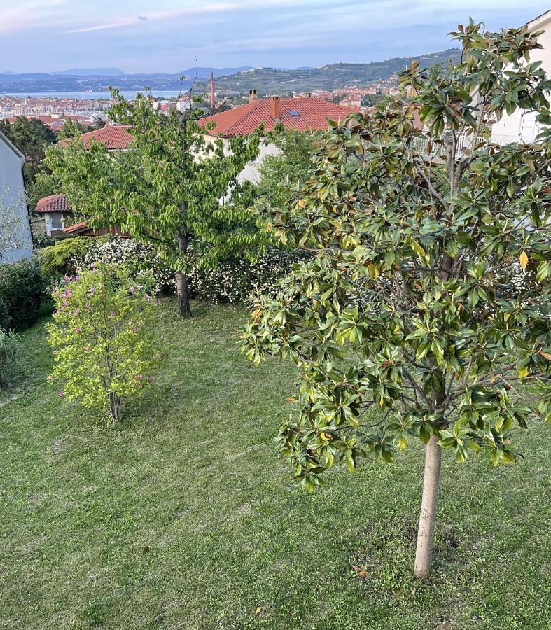 Magnolia Apartments Izola Exteriör bild